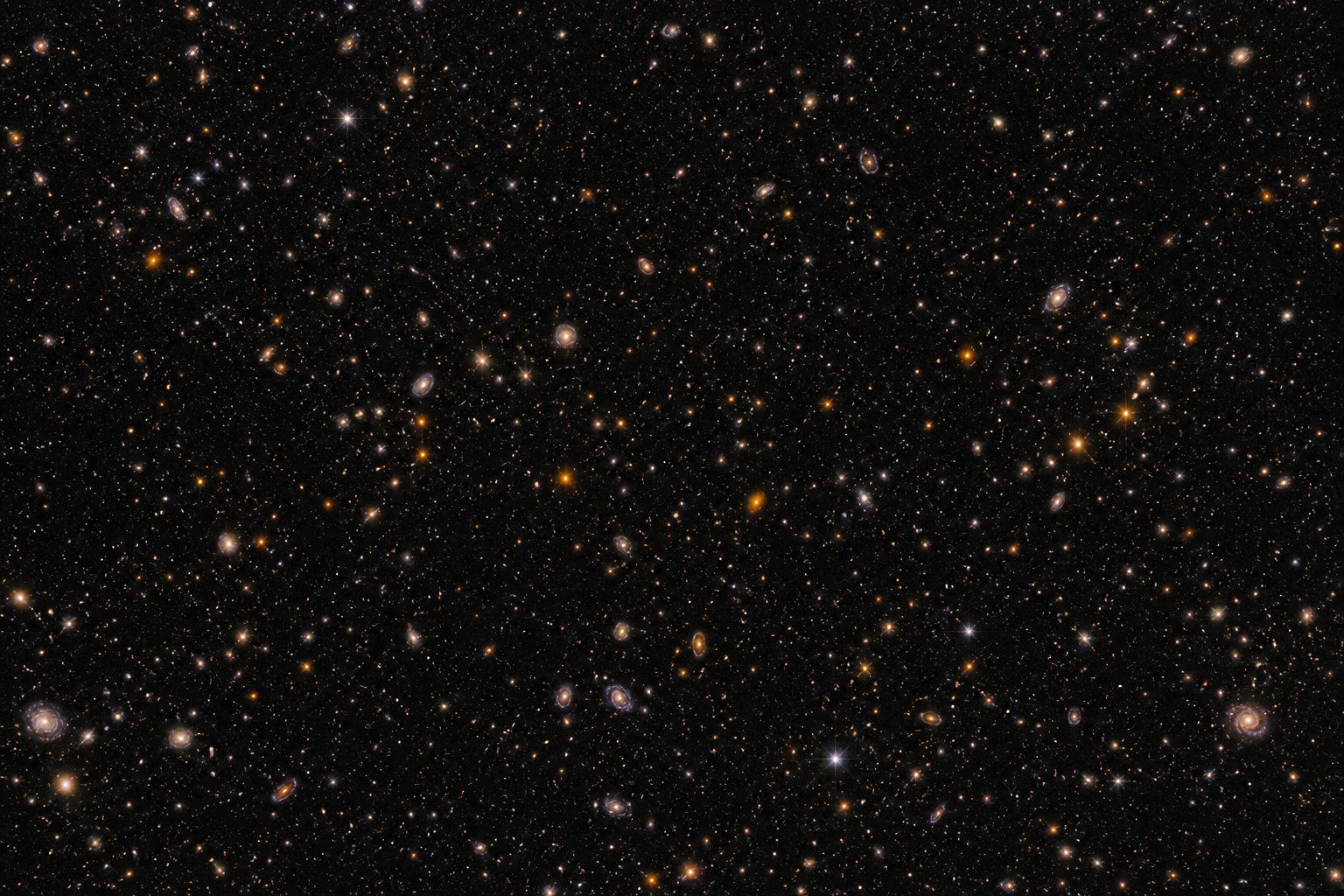 Euclid galaxy survey field